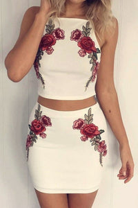 Sirina Two Piece Crop Top + Mini Skirt